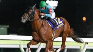 【カペラS出走馬・騎手確定】ヤマニンチェルキ＆岩田望来騎手、テーオーエルビス＆鮫島克駿騎手など16頭
