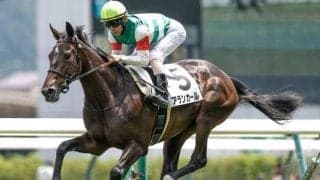 【阪神JF・調教後馬体重】アランカールは436kg、マーゴットラヴミーは438kg