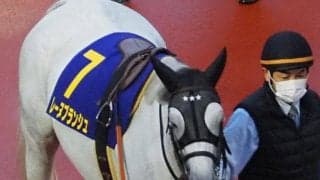 姉はダート重賞2勝のレーヌブランシュ フィサブロスが新馬勝ちなるか