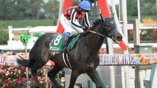 中日新聞杯は“ドラゴンズブルー”の「4枠」が狙い 84年以降で最多10勝