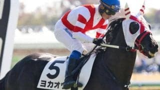 「熊本産の星」ヨカヨカの初仔 ヨカオウが初勝利狙う