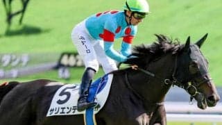 半兄は朝日杯FS覇者のサリオス サリエンテが初勝利なるか