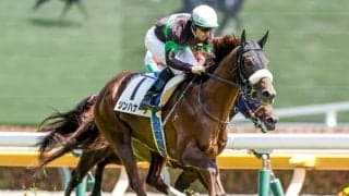 【中日新聞杯枠順確定】シンハナーダは7枠14番、ファミリータイムは2枠4番