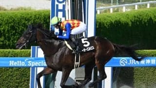 【カペラS枠順確定】テーオーエルビスは2枠4番、ヤマニンチェルキは8枠16番