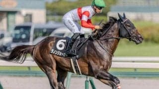 【一宮特別】母は米でG1含む重賞4勝 ダノンジョーカーが3連勝へ