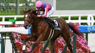 【中日新聞杯予想】一気の相手強化に戸惑う可能性大!? 斤量も見込まれた印象の軽視したい人気馬とは