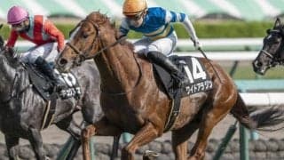 中山芝は前＆内ベター 常総Sはワイドアラジンに注目