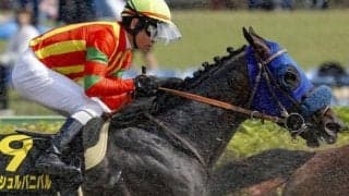 【リゲルS】砂の大物候補が芝初挑戦 アッシュルバニパルが浮上のきっかけつかむか