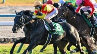 【ホープフルS想定馬・騎手】ジャスティンビスタ、ショウナンガルフなど16頭