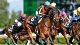 【ターコイズS想定馬・騎手】ウンブライル、ボンドガールなど20頭