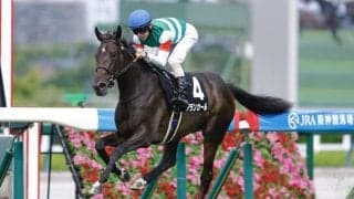 【阪神JF】良血アランカールは436kg…調教後の馬体重