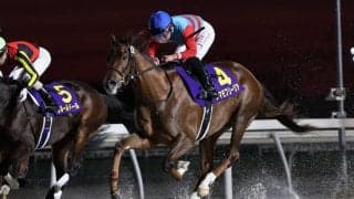 【全日本2歳優駿】2歳ダート王決定戦、JRA勢5頭、地方勢9頭が集結