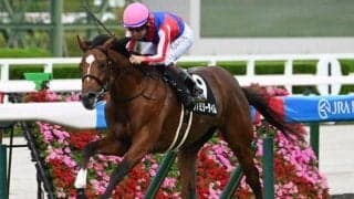 【今日の注目ポイント】中日新聞杯やベレシートが登場するエリカ賞など