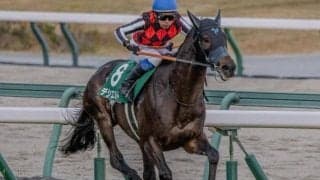 【中日新聞杯】前走芝2000mのリステッドorオープン特別組が良績残す