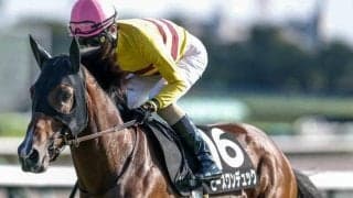 【中日新聞杯予想】スピードやスタミナなど総合力が求められる難レース