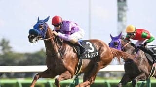 【競馬予想】阪神JFで注目したい血統は？　重賞勝ち馬ナシのレースでニュースターになりそうな２頭をピックアップ