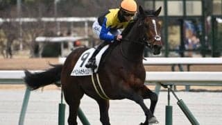 【中京5R新馬戦結果】ディアドラの全弟イベントホライゾンが快勝