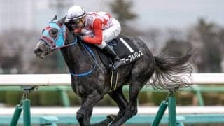 【黒松賞結果】6番人気マーブルパレスが逃げ切り快勝