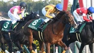 【中日新聞杯結果】シェイクユアハートが突き抜け重賞初制覇