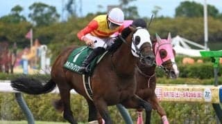 シリウスS連覇のハギノアレグリアスが登録抹消 阪神競馬場で乗馬に