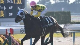 【阪神JF予想】前走で積極的な競馬をしている馬は割引!? デビュー2戦での経験がアダになりそうな人気馬とは