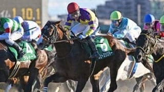 【カペラS予想】スピードや馬力に勝る牡馬、セン馬に良績集中！ 牝馬は前走の結果が好走の鍵を握る