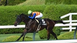 【カペラS前日オッズ】テーオーエルビスが4.5倍で1番人気