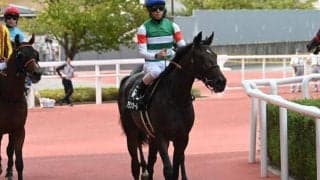 【阪神JF前日オッズ】アランカールが2.7倍で1番人気