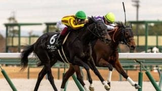 【つわぶき賞】伏兵プレセピオが抜け出す…白毛馬マルガは3着