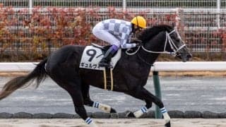 【中京3R】武豊ギュルヴィが惜敗に終止符