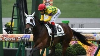 阪神芝は前優勢 阪神JFはマーゴットラヴミーの逃げ切りだ