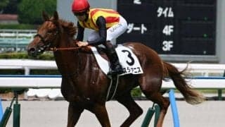 【AI予想・阪神JF】最終追い切りで自己ベストマークと絶好調！ 渾身の仕上げで挑む人工知能の本命馬