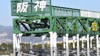 セレクト2.6億円のエピファネイア産駒 ページターナーが阪神でデビュー勝ち狙う