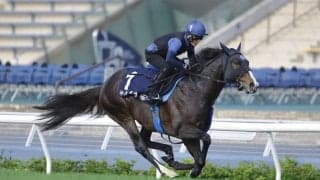 【香港国際競走】引退レースのソウルラッシュ、香港で有終の美なるか…JRA勢が自信の最終調整