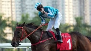 【香港カップ】ベラジオオペラは5番ゲートから…ロマンチックウォリアーは2番ゲートへ