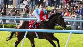 【香港スプリント】16連勝がかかるカーインライジングは1番ゲートから