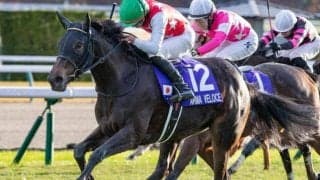 阪神JFは馬体重に1着馬のヒントあり ヒモ穴は母父キンカメ系