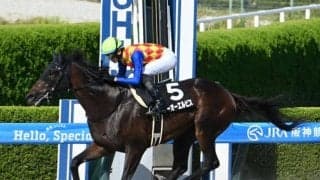 【カペラS予想】JRA唯一のダ1200m重賞 スピード能力を最優先に