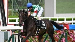 【阪神JF予想】人気上位勢はそれなりに好走？ 過去データから探るGI阪神JF