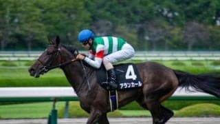 【阪神JF】阪神芝はまだまだ内＆前有利 外差しのアランカールには流れがカギに