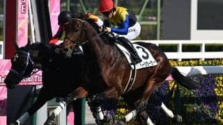 【阪神5R新馬戦結果】断然人気のページターナーが追い比べを制す エピファネイア産駒