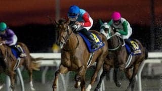 【川崎・全日本2歳優駿枠順】JBC2歳優駿覇者タマモフリージアは1枠1番、無傷4連勝中のベストグリーンは5枠5番