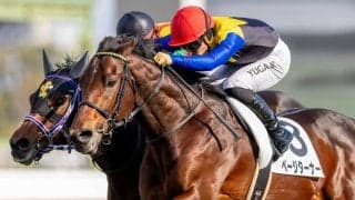 【新馬/阪神5R】2億円ホース、単勝1.3倍ページターナーが断然の支持に応える