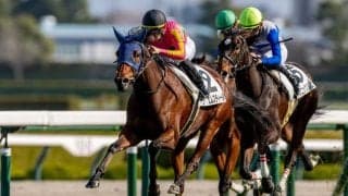 【新馬/阪神4R】リアルスティール産駒 テイエムスティールの直線一気炸裂