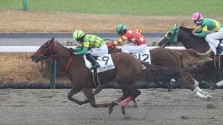 【新馬/中山6R】ミスターメロディ産駒 ルクスポップスターがデビューV