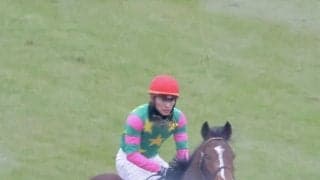 【新馬/中山5R】断然人気ジーティーシンドウが4馬身差完勝