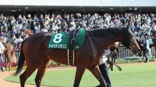 【競馬予想】波乱ムードが充満している阪神JF　穴党記者が密かに一発を期待している人気薄２頭