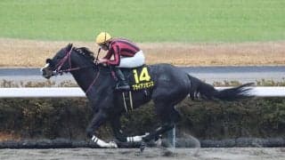 【師走S】ブライアンセンスが6馬身差圧勝
