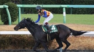 【カペラS】テーオーエルビスが4連勝…ダート短距離路線に新星