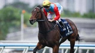 【香港スプリント結果】カーインライジングが圧倒的強さで16連勝＆連覇達成！ 